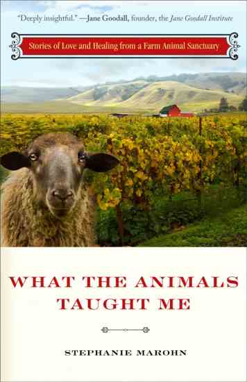 
“What the Animals Taught Me” brings together stories about rescued farm animals at a shelter in Sonoma County, Calif., and shows what these animals can teach us. Each story illustrates how animals can help us reconnect with the natural world … and see and embrace others as they truly are. 
